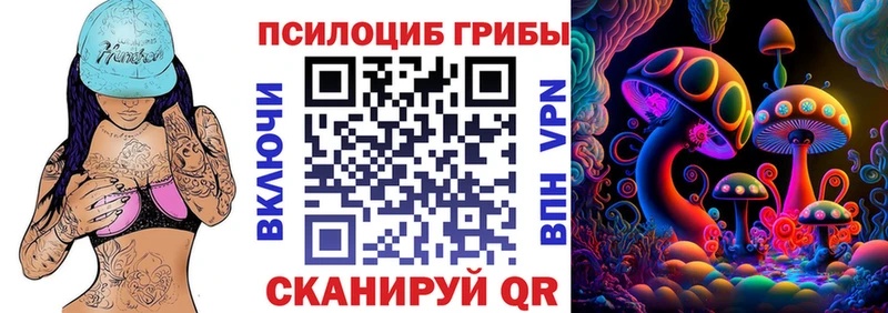 Псилоцибиновые грибы ЛСД  дарнет шоп  гидра сайт  Болгар 